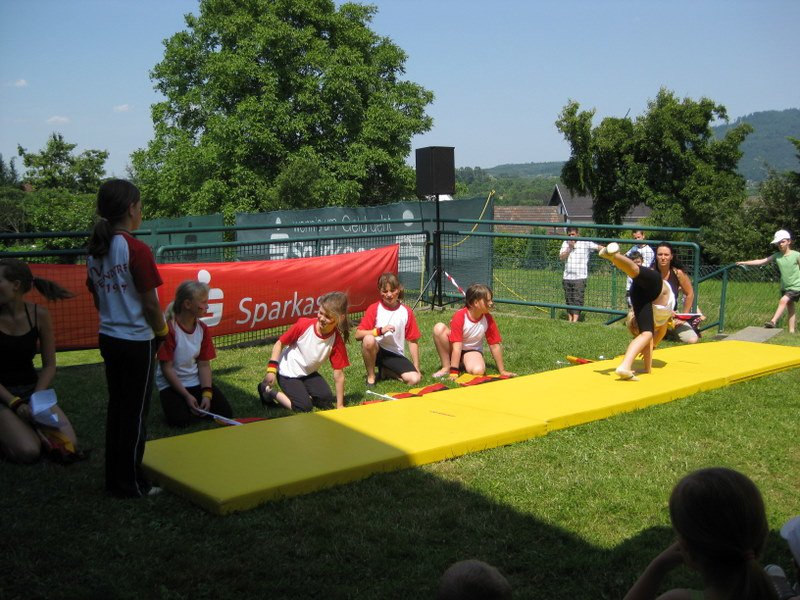 2010 Sommerfest