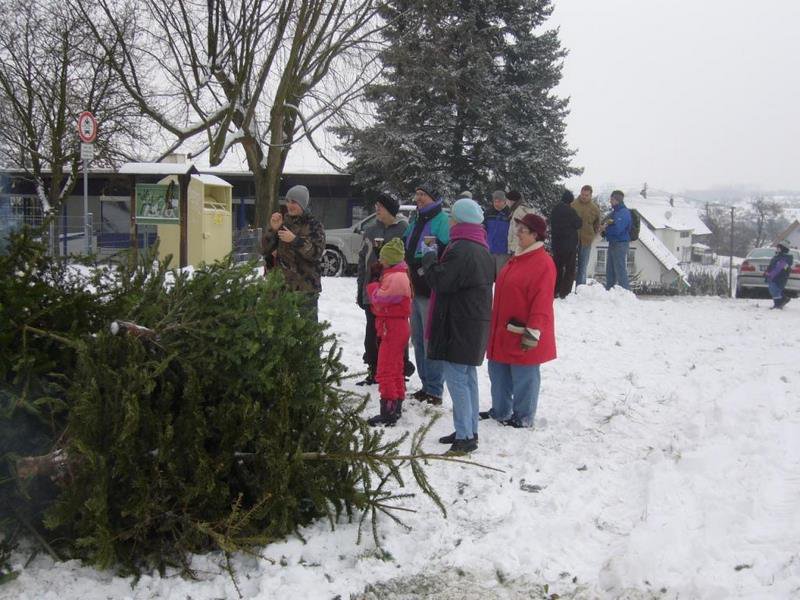 Christbaumsammelaktion