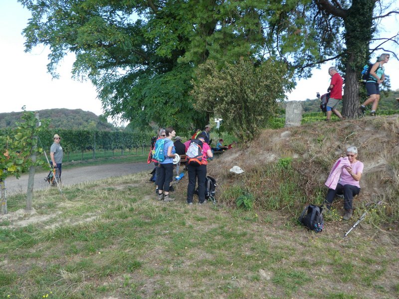 Kaiserstuhlwanderung