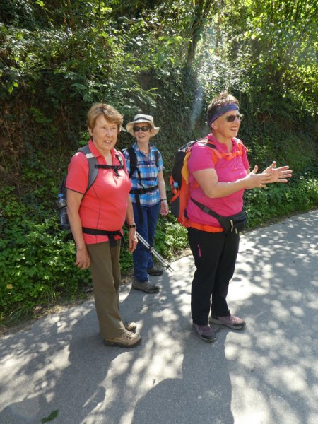 Kaiserstuhlwanderung