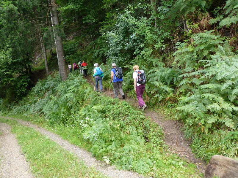 Bernsteinwanderung