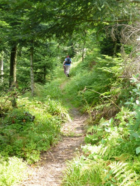 Bernsteinwanderung