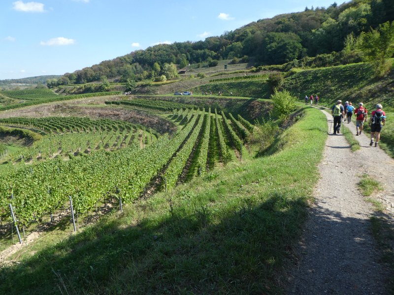 Kaiserstuhlwanderung
