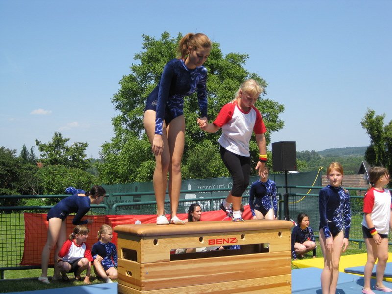 2010 Sommerfest