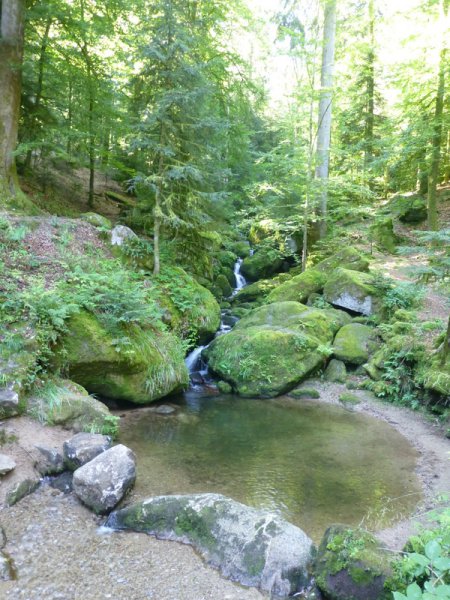 Sommerwanderung