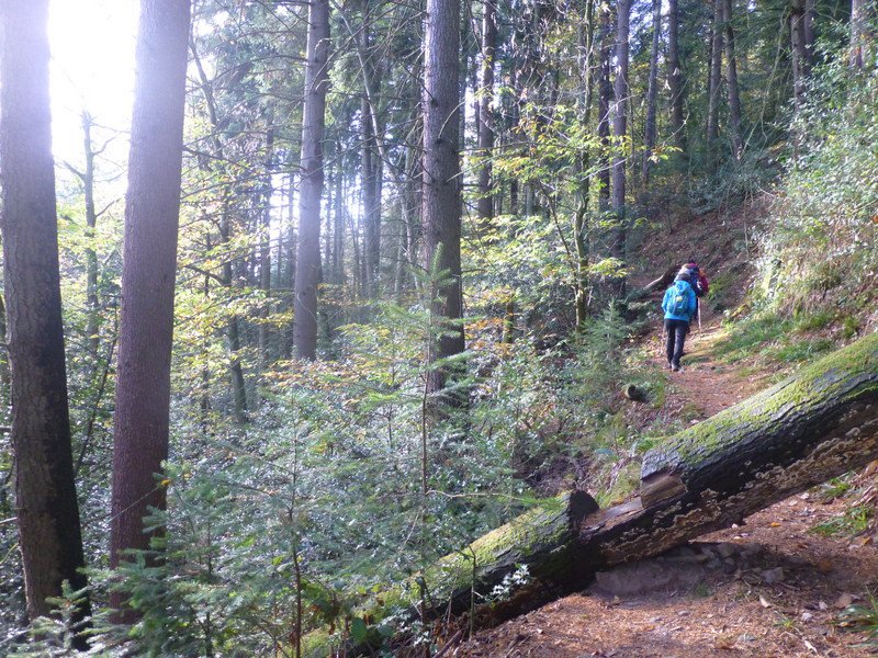 Herbstwanderung