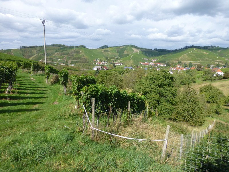 Gengenbach