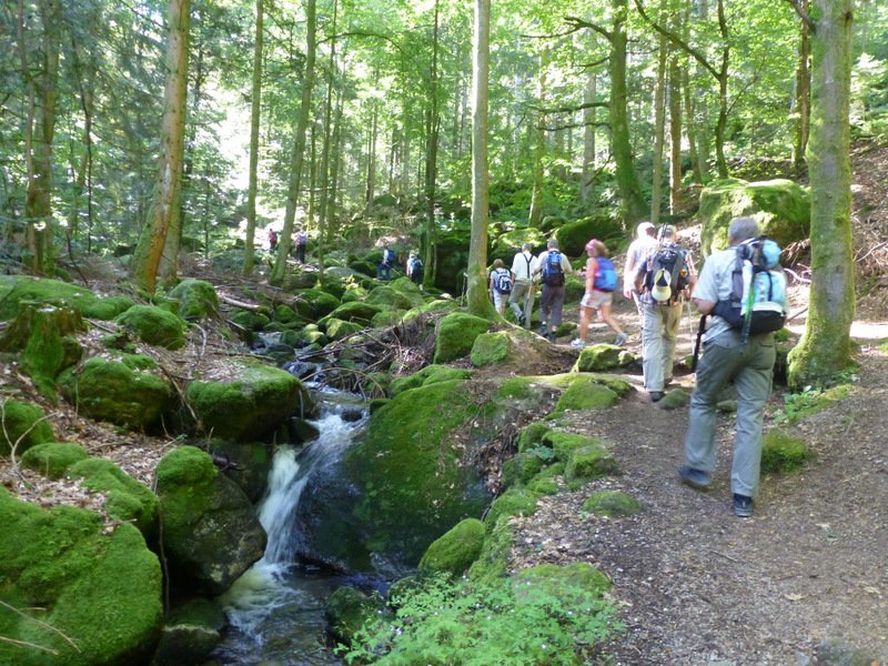 Sommerwanderung