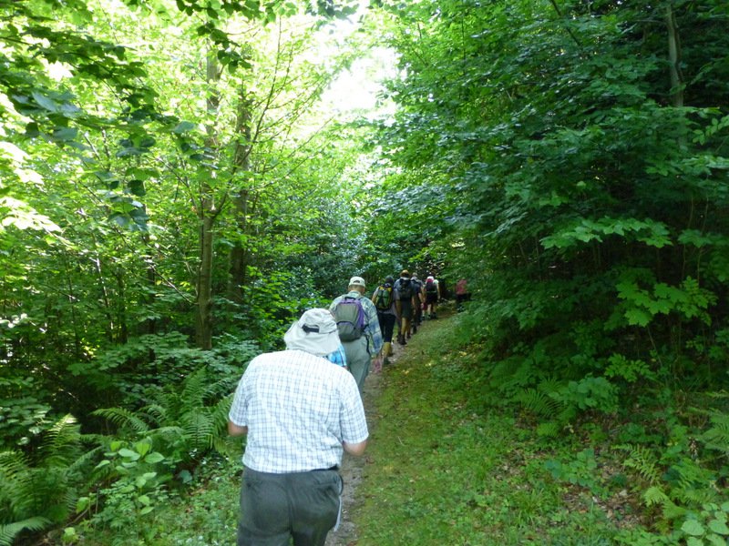 Wandern
