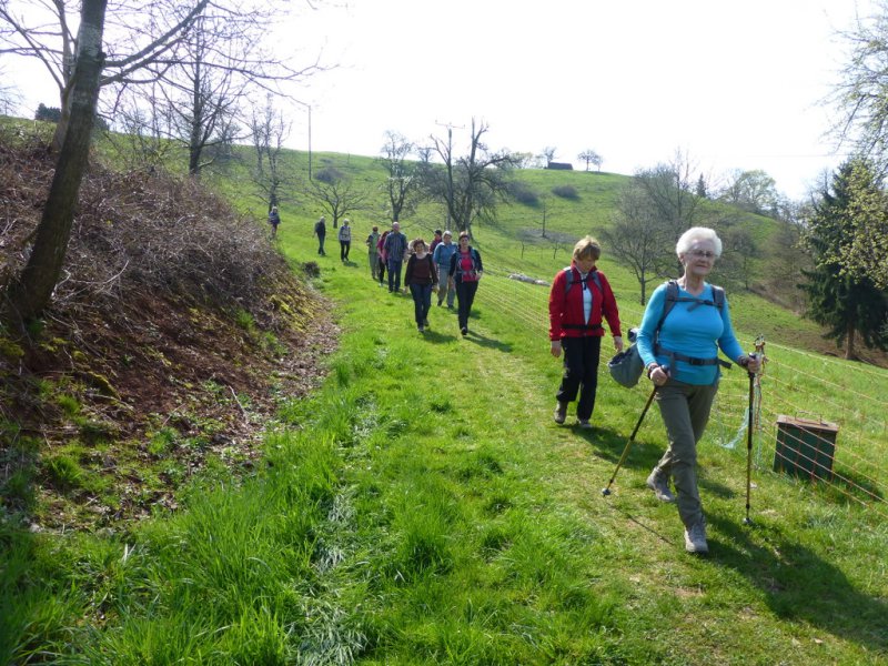 Wandern