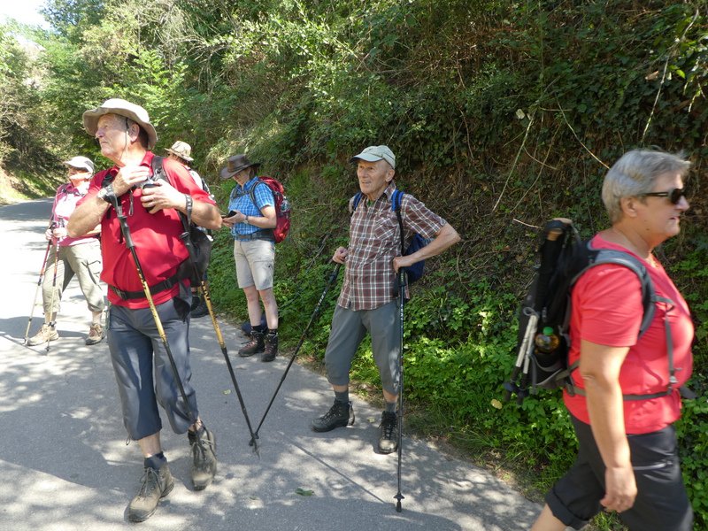 Kaiserstuhlwanderung