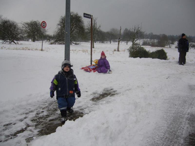 Christbaumsammelaktion