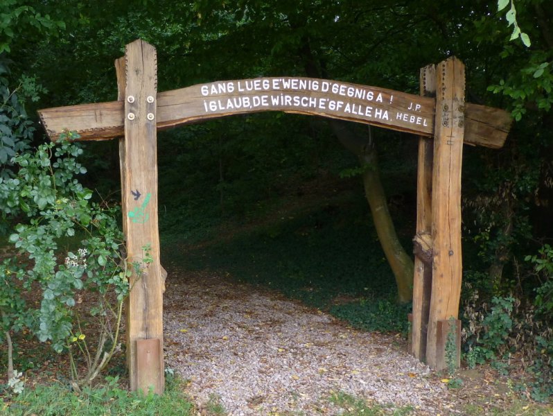 Wiiwegliimpressionen