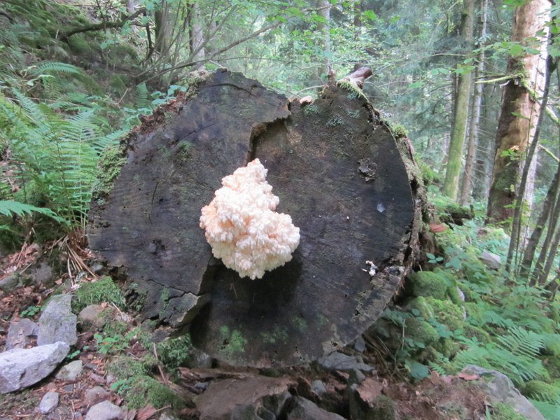Wanderwochenende