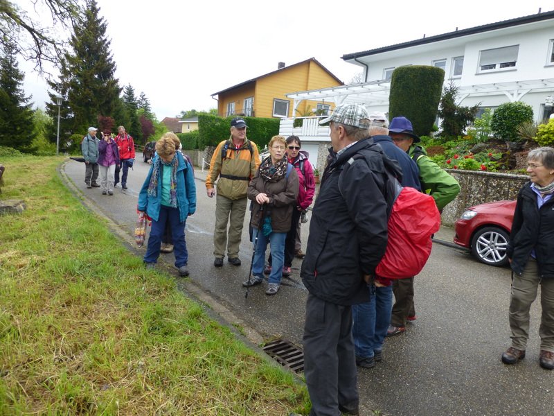 Landeswandertag