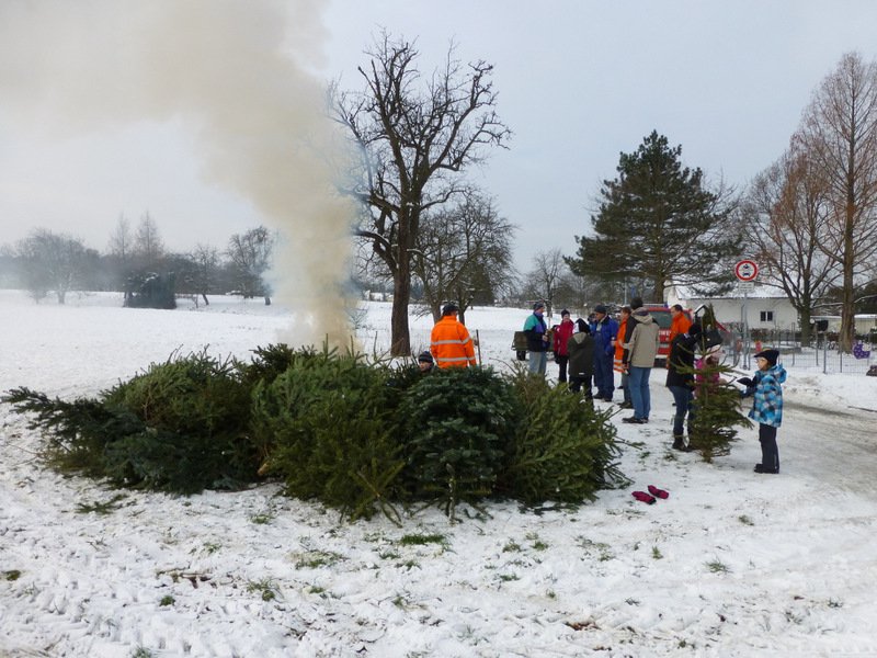 Christbaumsammelaktion
