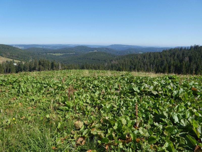 Wanderwochenende