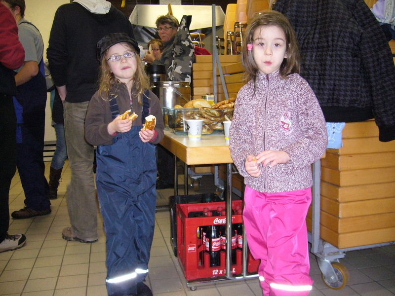 Christbaumsammelaktion