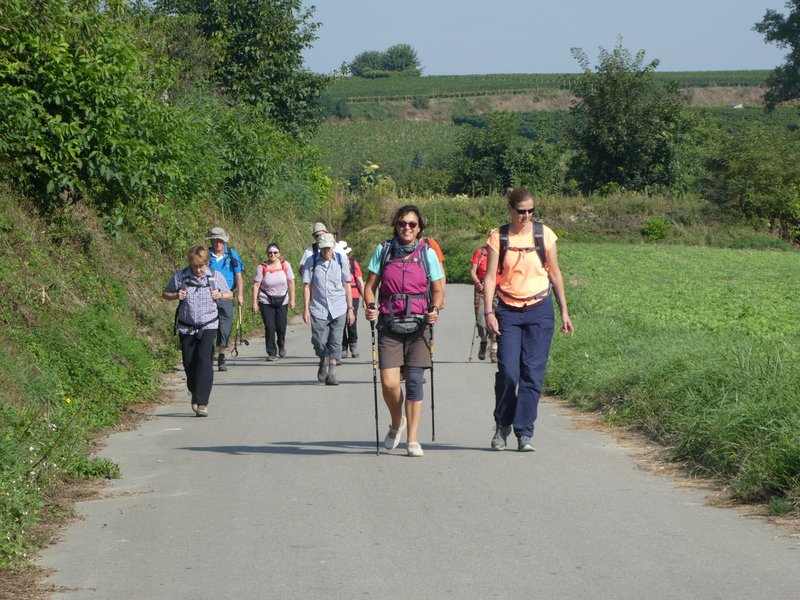 Kaiserstuhlwanderung