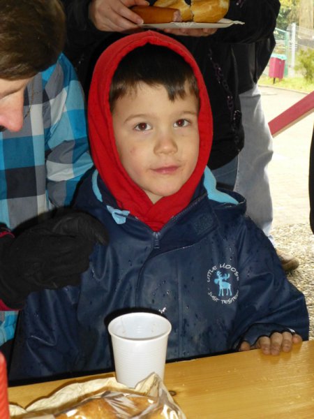 Christbaumsammelaktion