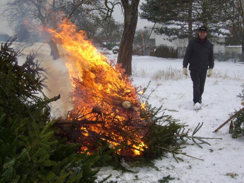 Christbaumsammelaktion