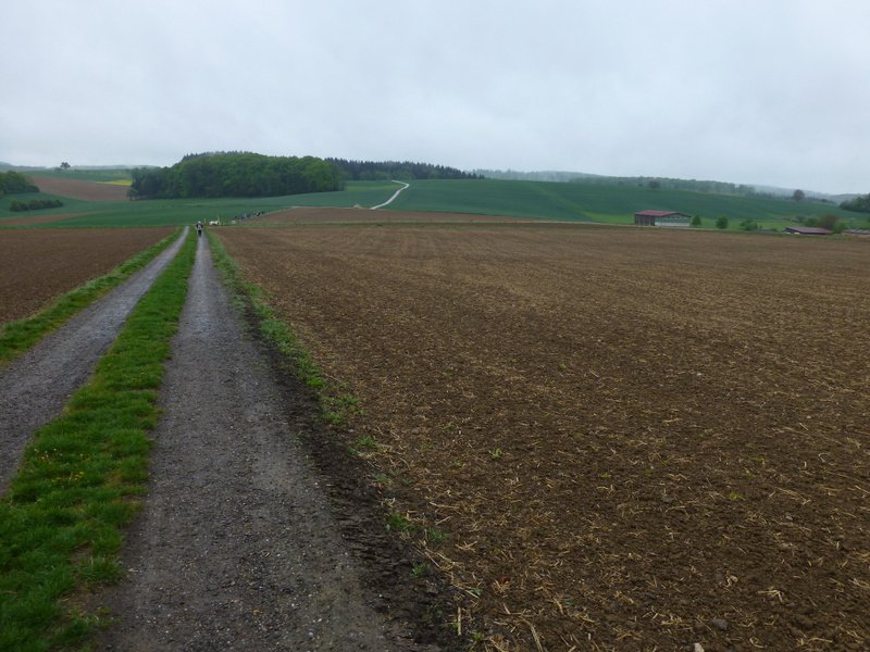 Landeswandertag