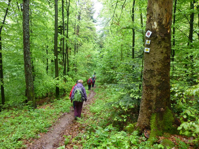 Wanderung