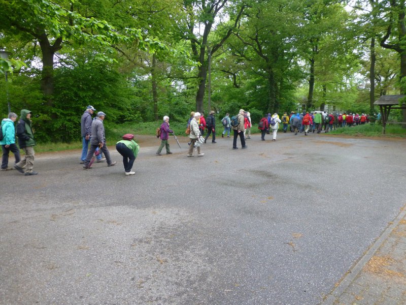Landeswandertag