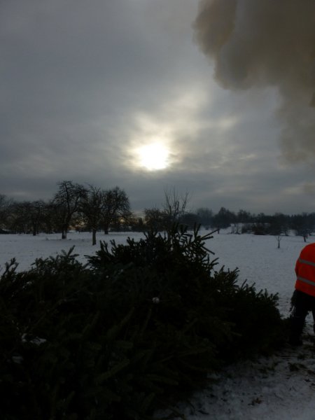 Christbaumsammelaktion