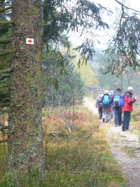 Herbstwanderung