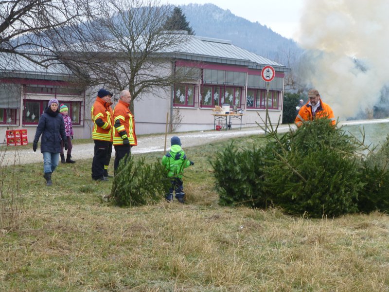 Christbaumsammeln