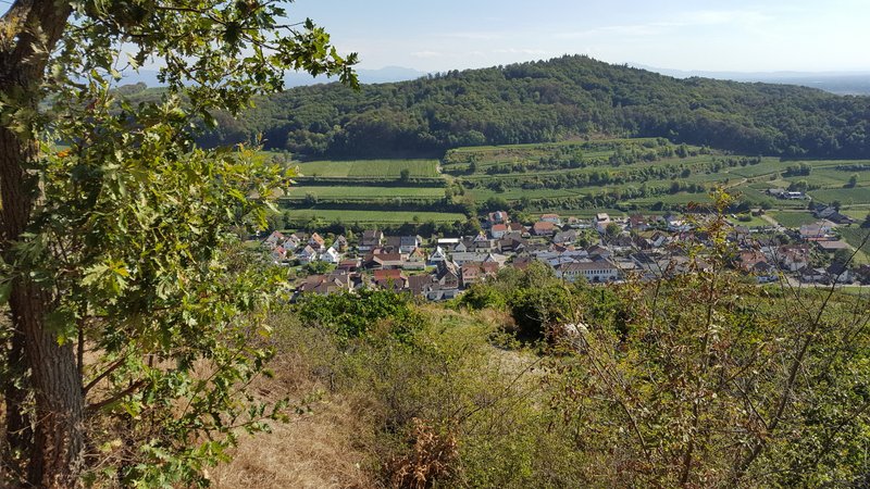 Kaiserstuhlwanderung