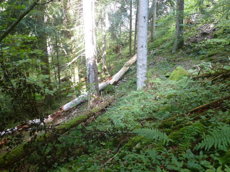 Wanderwochenende