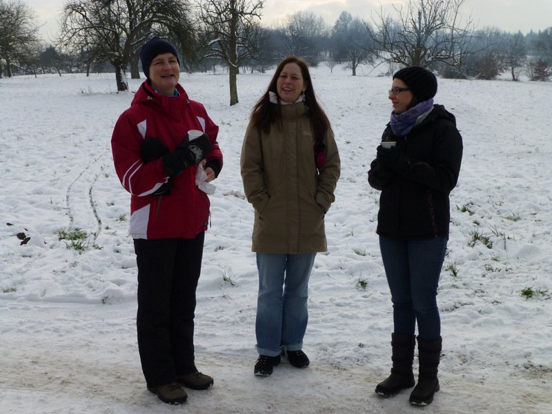 Christbaumsammelaktion