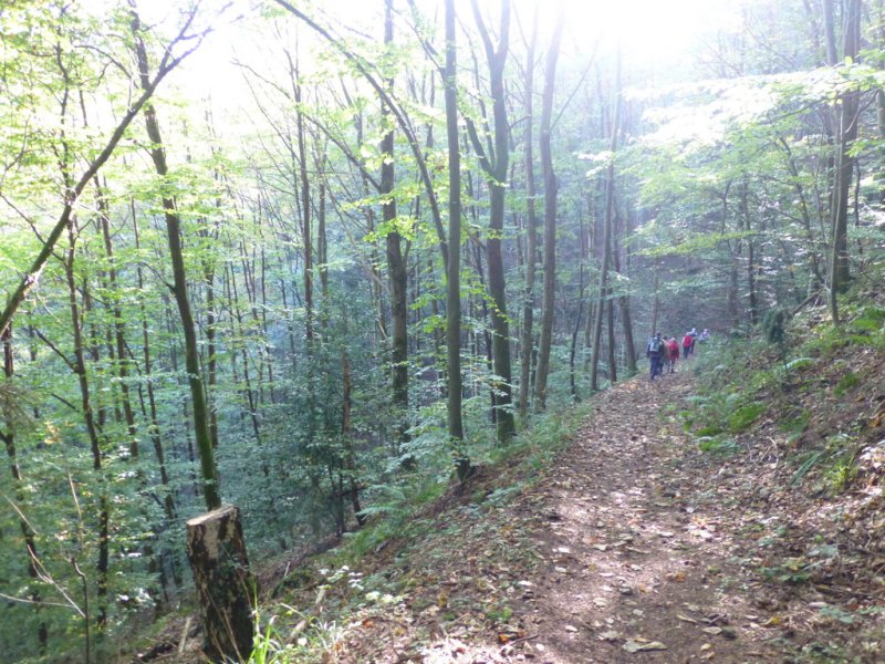 Wanderung