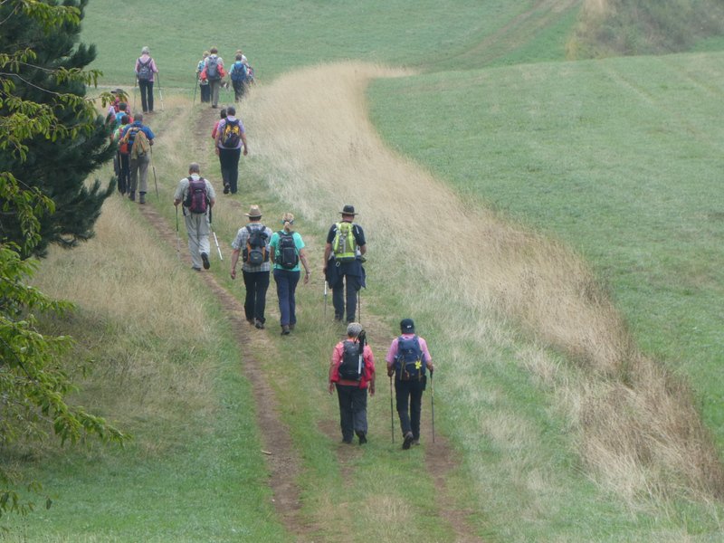 Kaiserstuhlwanderung