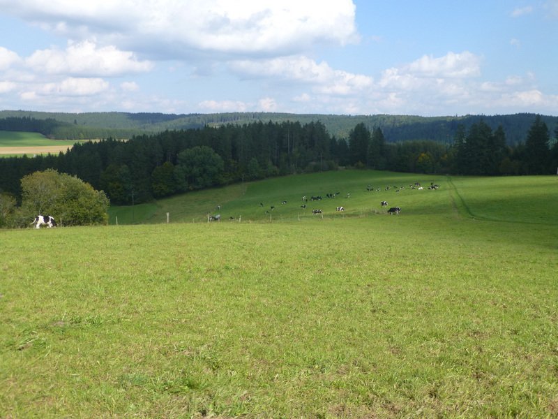 Wanderwochenende