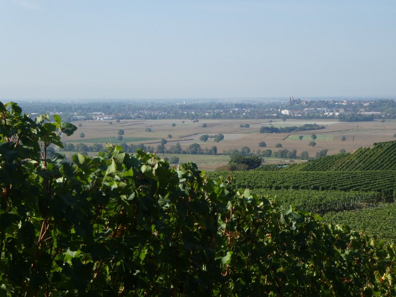 Kaiserstuhlwanderung
