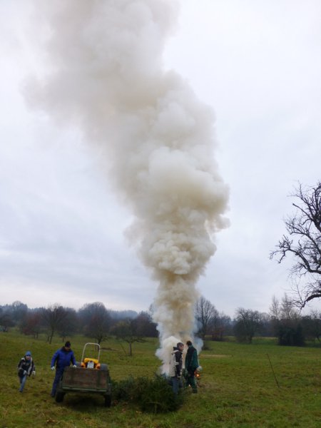 Christbaumsammelaktion