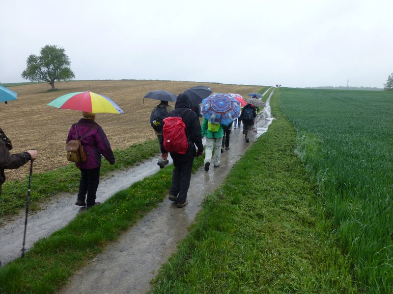Landeswandertag