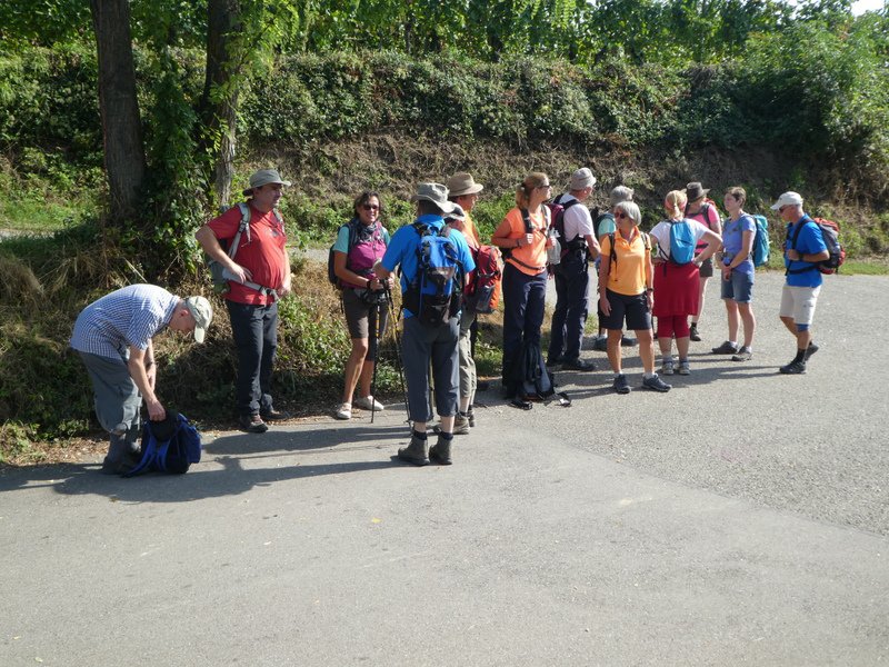 Kaiserstuhlwanderung
