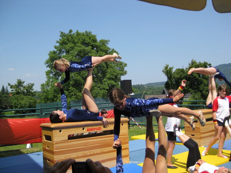 2010 Sommerfest