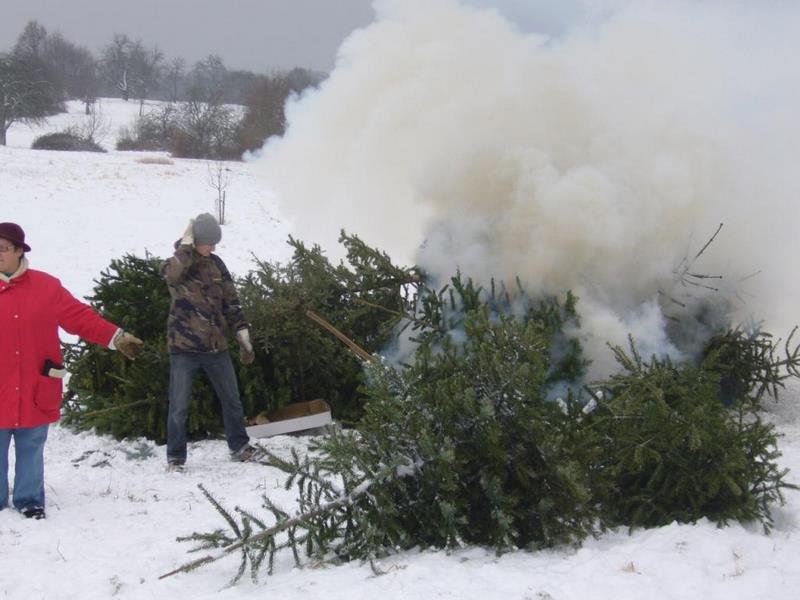 Christbaumsammelaktion