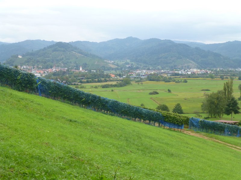 Gengenbach