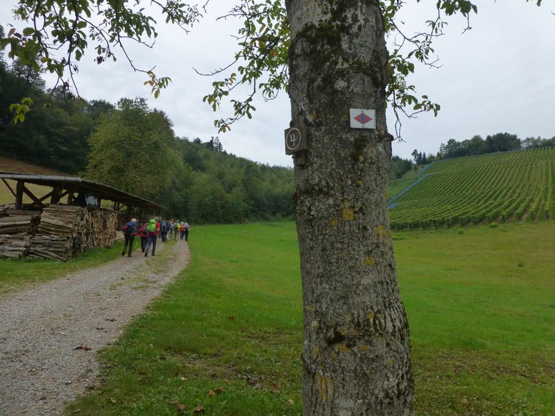 Gengenbach
