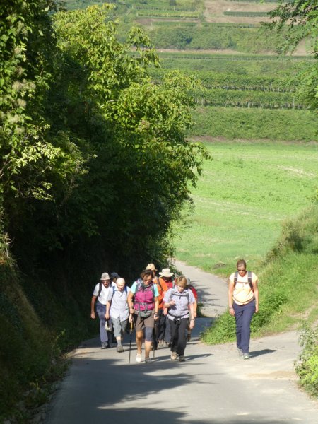 Kaiserstuhlwanderung