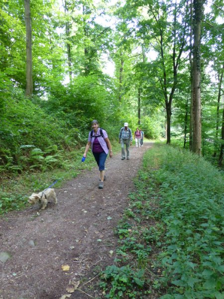 Wandern