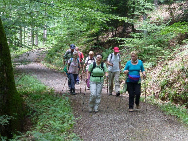 Bernsteinwanderung