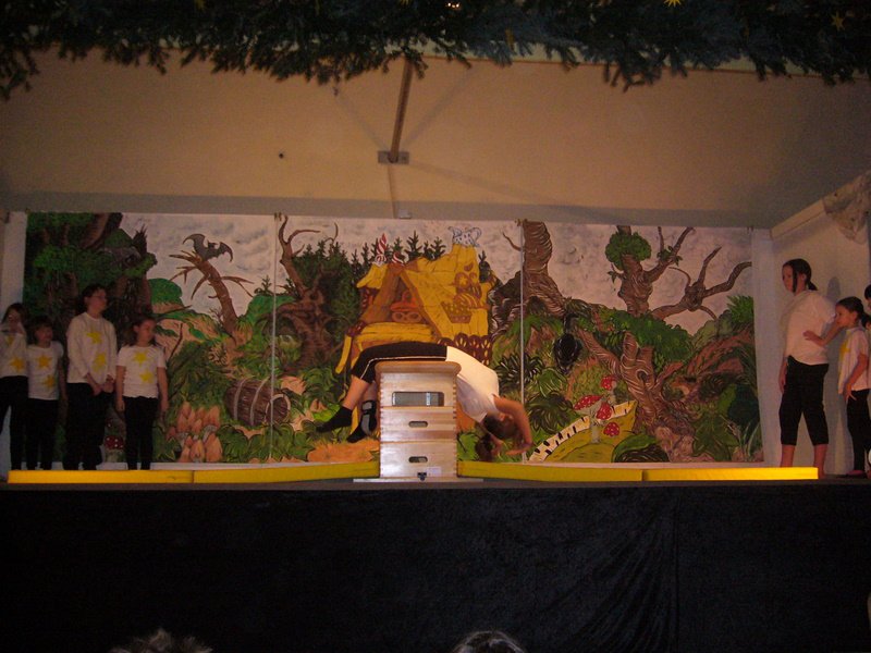 2009 Weihnachtsfeier