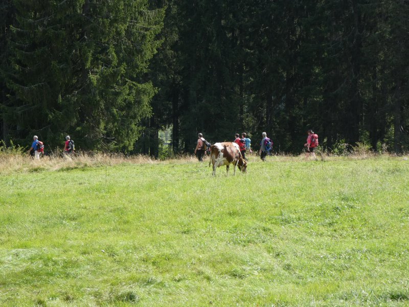 Wanderwochenende